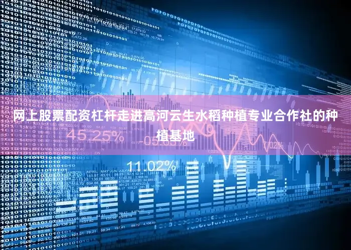 网上股票配资杠杆走进高河云生水稻种植专业合作社的种植基地
