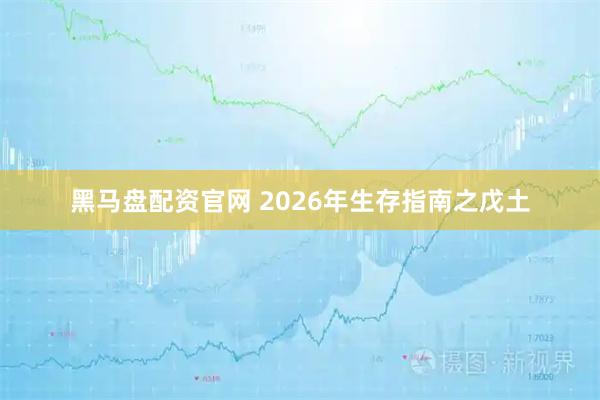 黑马盘配资官网 2026年生存指南之戊土